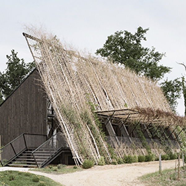 architectenkrant-newsletter-architecture