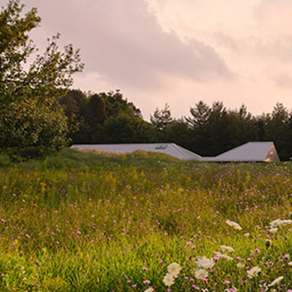 architectenkrant-newsletter-architecture